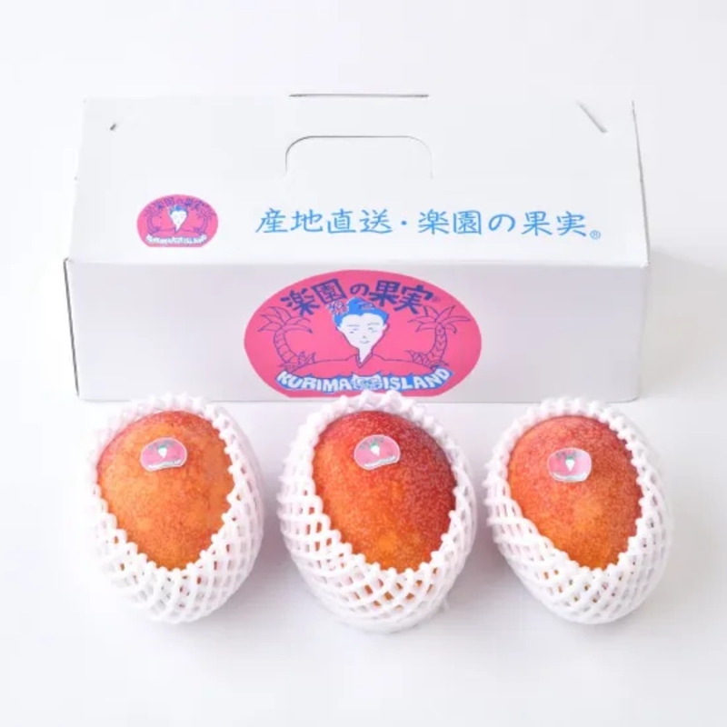 【2026予約販売】有機JAS認証｜宮古島産アーウィンマンゴー 白箱 1kg（2玉～3玉入り）