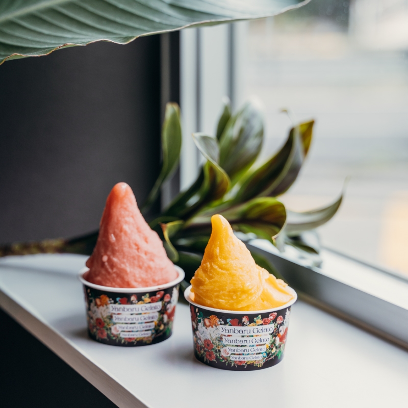 やんばるジェラート12個セット