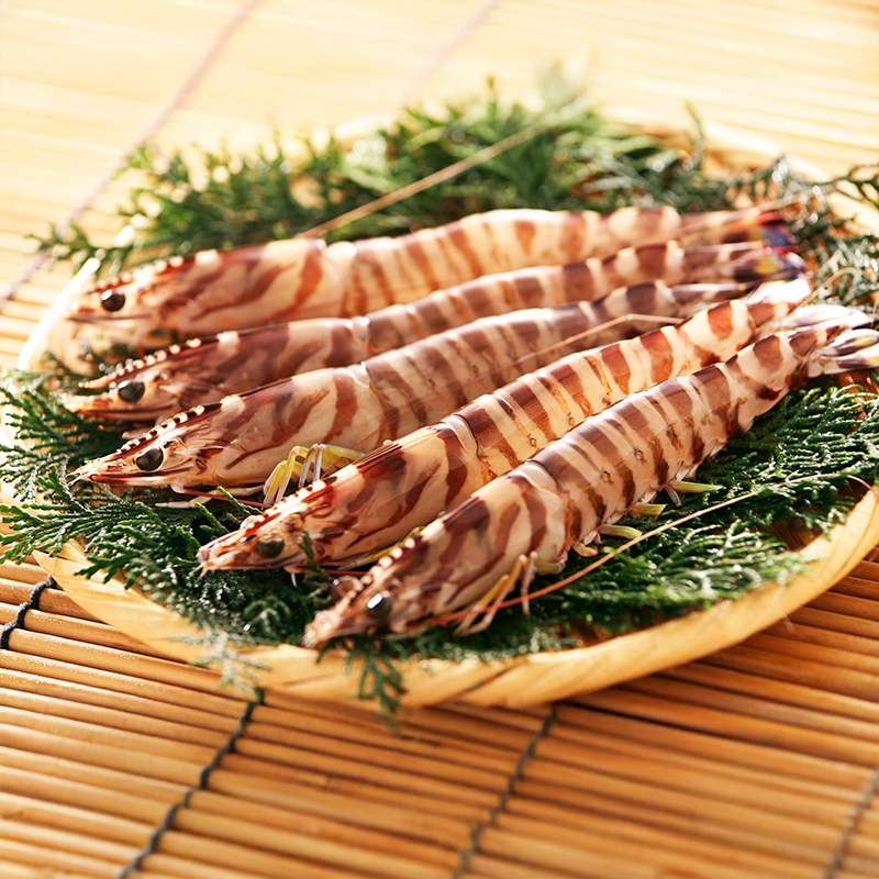 竹富島産 活〆冷凍車海老  500g