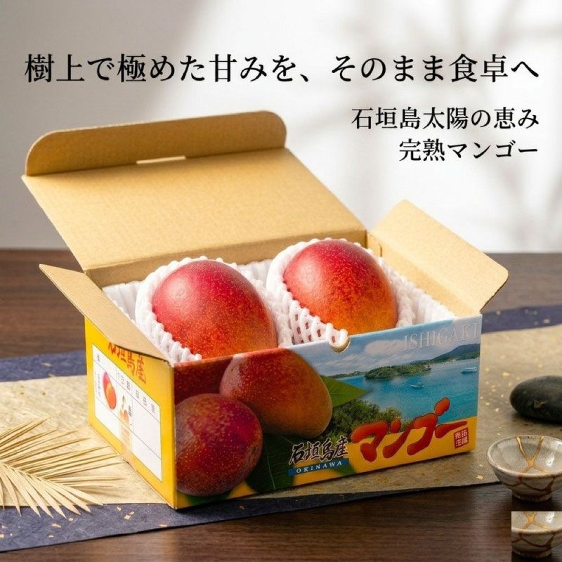 石垣島産 完熟マンゴー 約1kg(2-3玉)