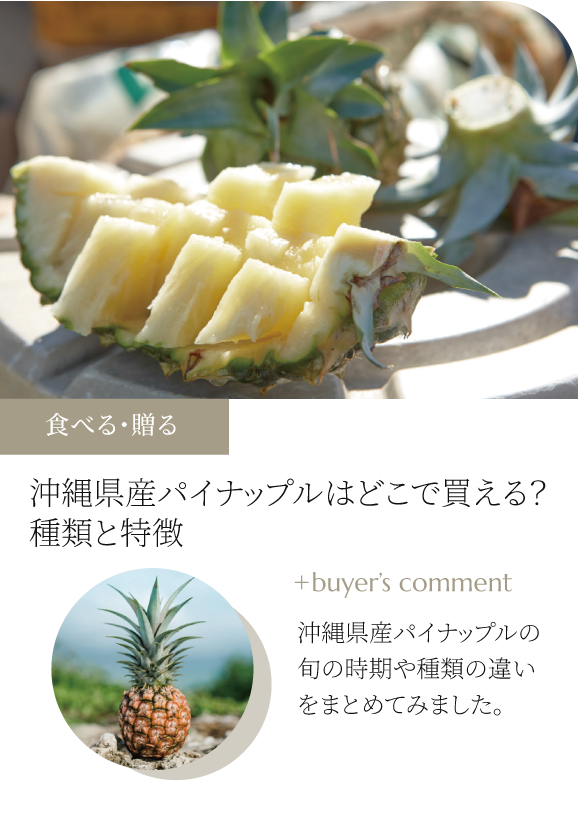 沖縄県産パイナップルはどこで買える？種類と特徴